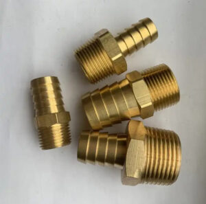 duoi-chuot-dong-ren-ngoai
