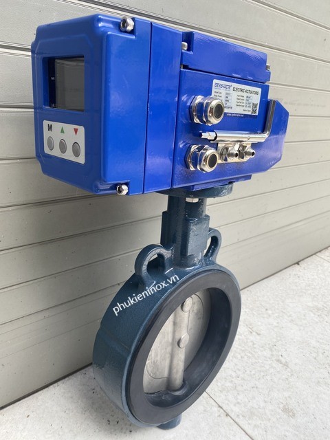 van-buom-dn100