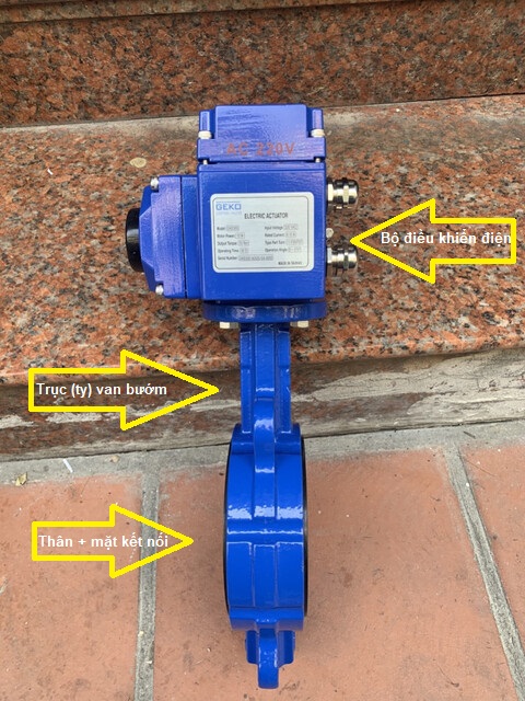 cau-tao-van-buom-dien-dn100 